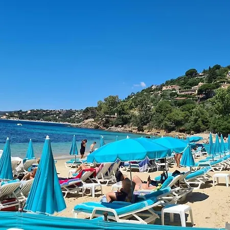 Maison Avec Terrasse Vue Mer A Quelques Marches De La Fossette Apartmán Le Lavandou